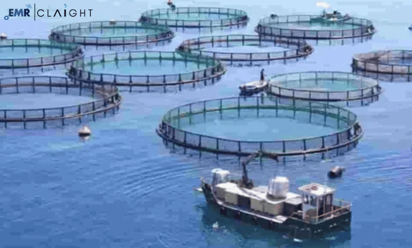 Aquaculture Cage Market