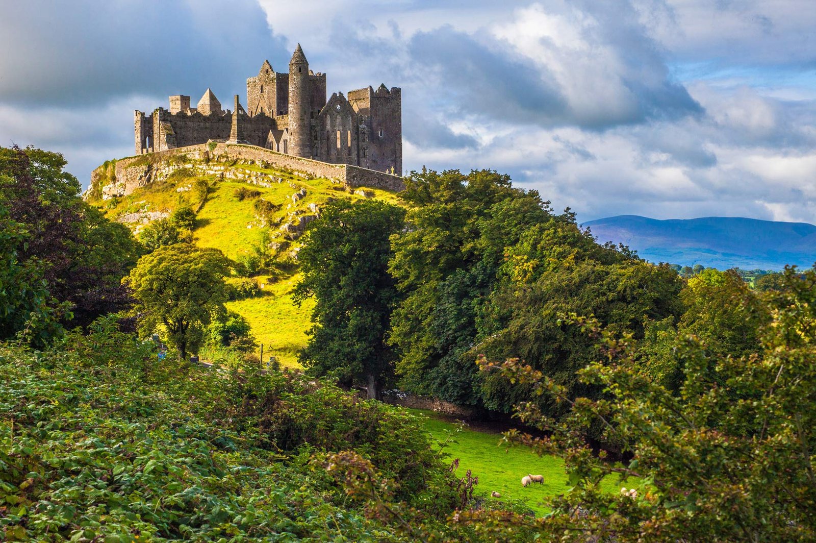 Ireland Visa Guide Everything You Need to Know for Your Application