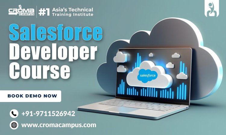 Salesforce Developer Course Online