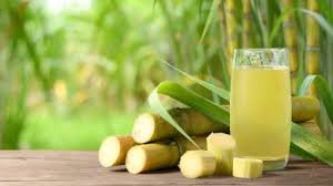 Sugarcane